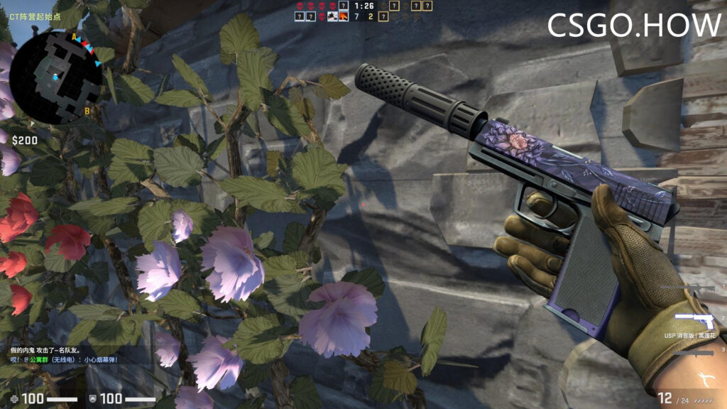 CSGO激流大行动饰品搭配指南，新皮肤已可交易