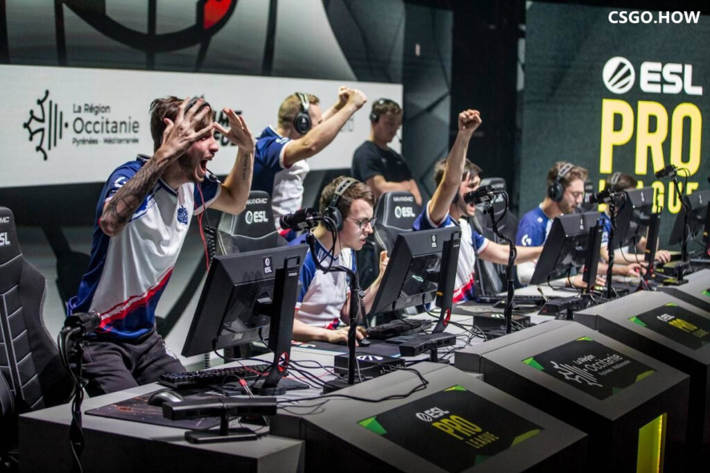 CSGO爆料: kennyS 和 AmaNEk 欲组建 全法班 法国队
