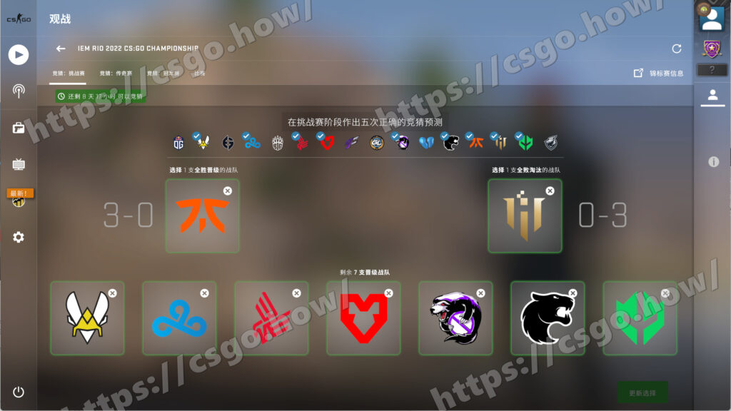 2022 IEM里约Major 观众通行证、硬币升级、纪念包介绍